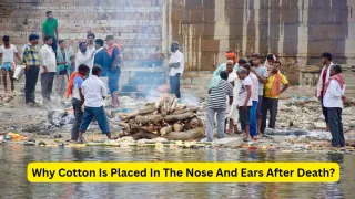 why-is-cotton-placed-in-the-nose-and-ears-after-death-garuda-purana-and-science-reveal-the-reason