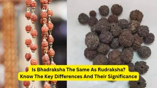 Bhadraksha Vs Rudraksha: Are They Same? Know Key Differences