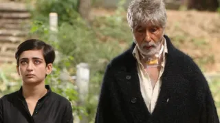this-south-actress-failed-class-10-multiple-times-before-making-her-movie-debut-with-amitabh-bachchan