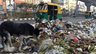 delhi-clean-by-oct-31-caqm-sets-hard-deadline-to-clear-capitals-roadside-garbage-debris