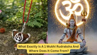 1-mukhi-rudraksha-what-makes-this-sacred-bead-different-from-other-rudrakshas