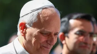 pope-leo-diagnosed-with-cancer-as-doctors-remove-part-of-lung-vatican-says