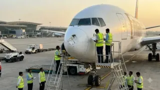 emirates-flight-for-dubai-encounters-bird-strike-at-igi-delhi-airport-suffers-nose-cone-damage-watch