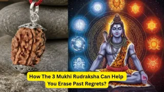 3-mukhi-rudraksha-how-the-sacred-bead-of-agni-helps-you-release-past-mistakes