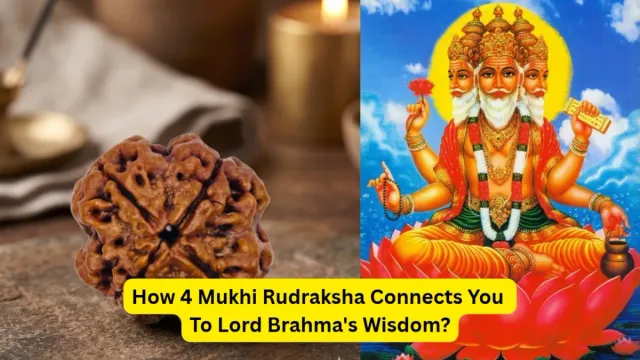 why-is-4-mukhi-rudraksha-associated-with-lord-brahma-know-its-spiritual-significance