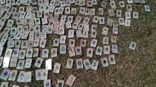 MP: Hundreds Of Voter ID Cards Found On Narmada Riverbank; Congress Demands FIR, Probe