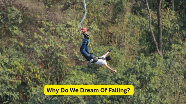 dreaming-of-falling-from-a-height-know-the-traditional-interpretation