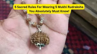 5 Mukhi Rudraksha: 5 Rules You Should Know Before Wearing This Sacred Bead
