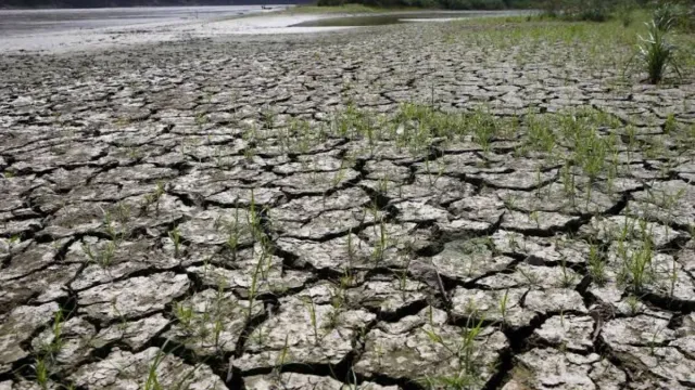el-nino-could-cause-over-3-73-lakh-heat-deaths-by-march-nigeria-india-among-worst-hit-see-list