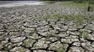 El Nino Could Cause Over 3.73 Lakh Heat Deaths By March; Nigeria, India Among Worst-Hit 
