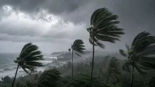 El Nino To Weaken After Dec Peak, La Nina May Follow In 2027; How Pacific Ocean Shift Could Impact Global Weather