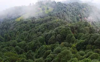 ethanol-blended-fuel-significantly-reduces-carbon-emissions-in-uttarakhand-centre-plans-higher-mix