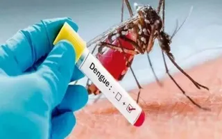 ghaziabad-dengue-hits-152-in-city-malaria-rises-to-80-in-villages-details