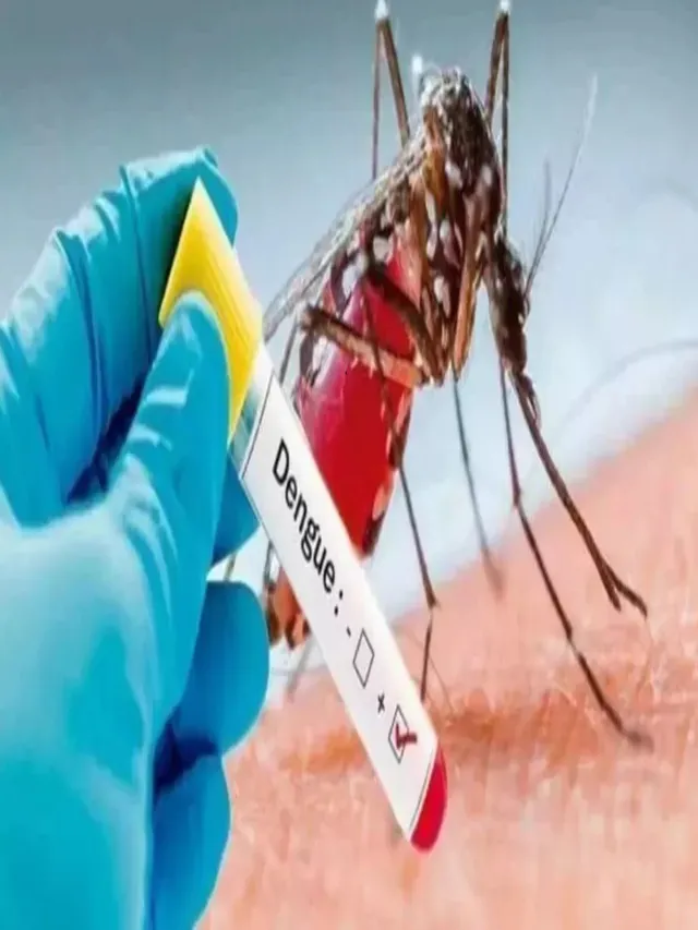 gurugram-dengue-cases-rise-to-64-health-teams-intensify-surveillance