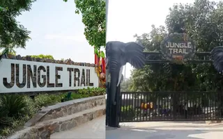 noida-authority-opens-three-zone-jungle-trail-park-near-mahamaya-flyover-check-ticket-price-other-details