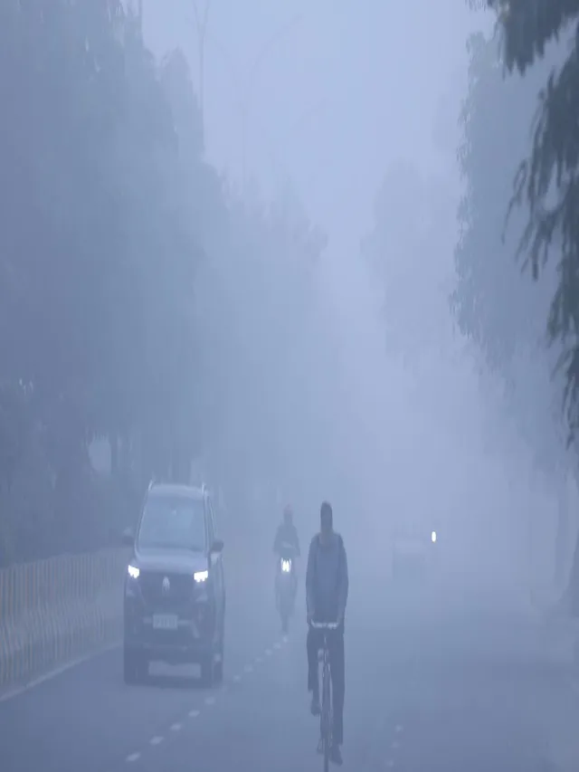 ghaziabad-administration-issues-cold-wave-advisory-for-residents-and-livestock-owners