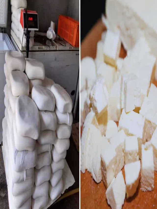 ghaziabad-food-safety-department-seizes-240-kg-substandard-paneer-110-kg-sweets-ahead-of-diwali