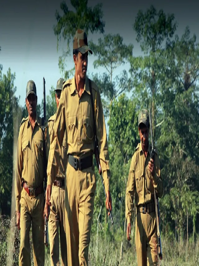 jharkhand-to-begin-recruitment-for-over-600-forest-guard-posts-local-youth-to-get-priority