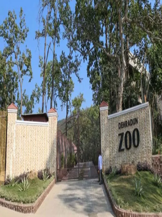 dehradun-zoo-reptiles-go-dormant-in-winter-chill-visitors-turn-to-tigers-and-leopards