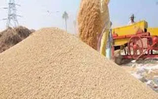 up-govt-announces-1-recovery-relaxation-for-coarse-paddy-15-lakh-farmers-to-benefit