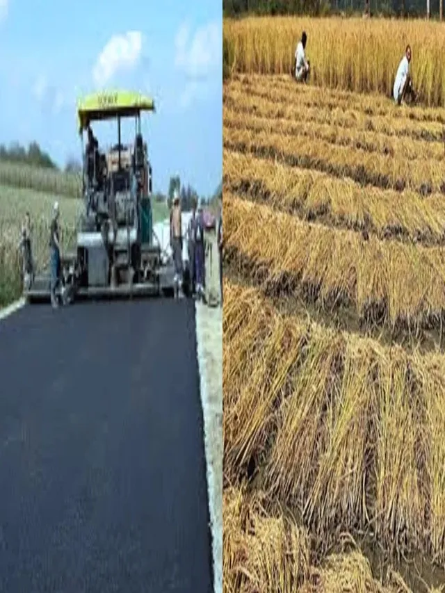 dehradun-csir-iip-develops-biobitumen-from-paddy-stubble-for-road-construction
