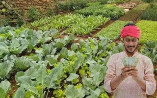 haryana-govt-offers-financial-incentives-for-vegetables-mushrooms-modern-farming-to-boost-farmers-income
